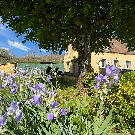 Oree Du Chateau : Maison De Charme Avec Piscine Chauffée Dans Casa vacanze *